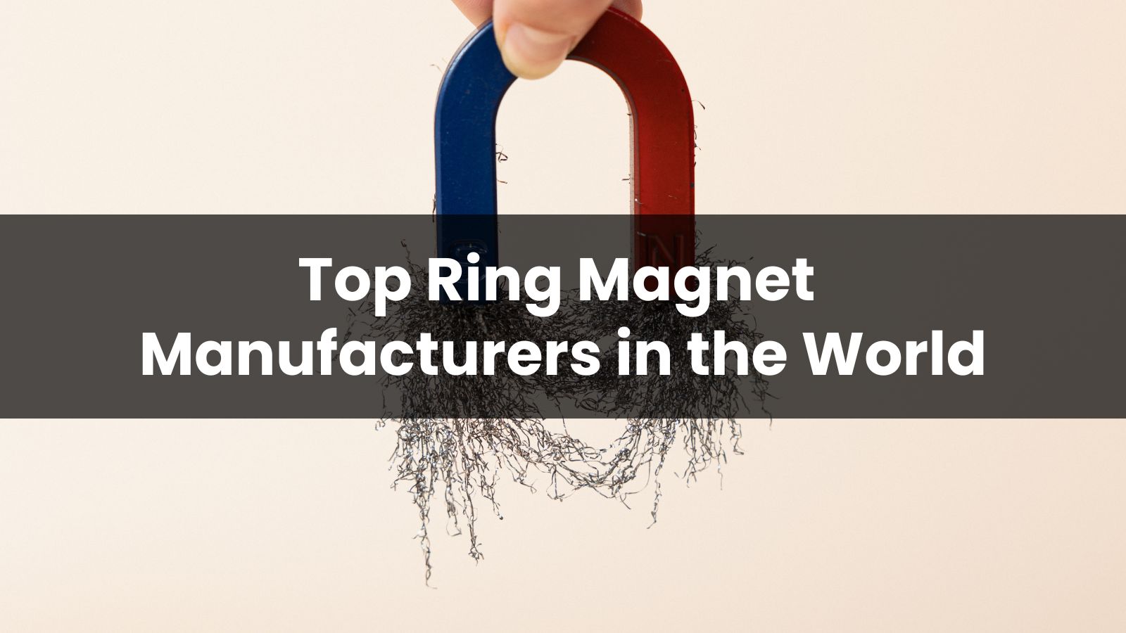 Top 10 Ring Magnet Manufacturers in 2025